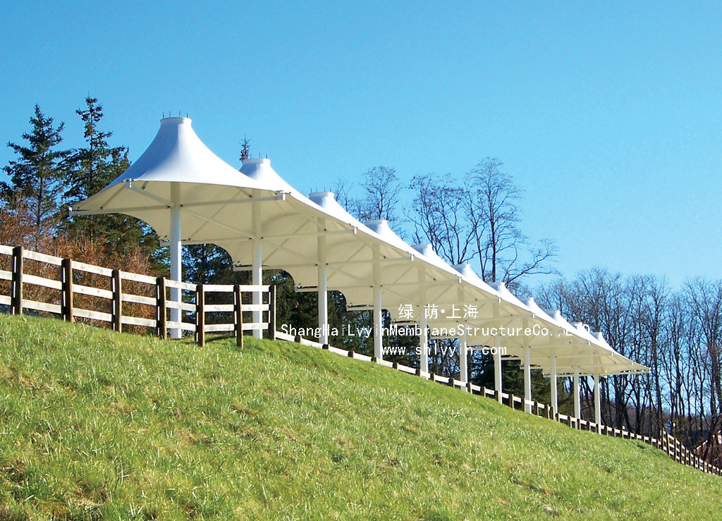 1495418732111133.jpg 10 (5)_副本.jpg